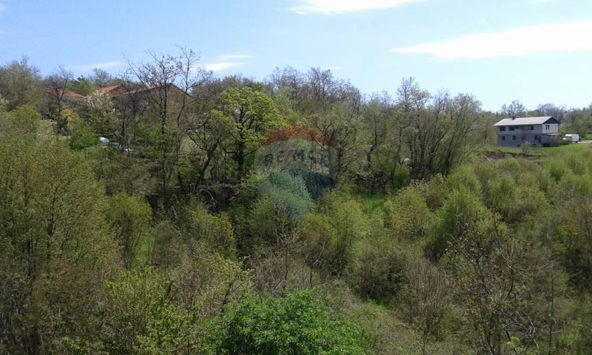 MARČELJI