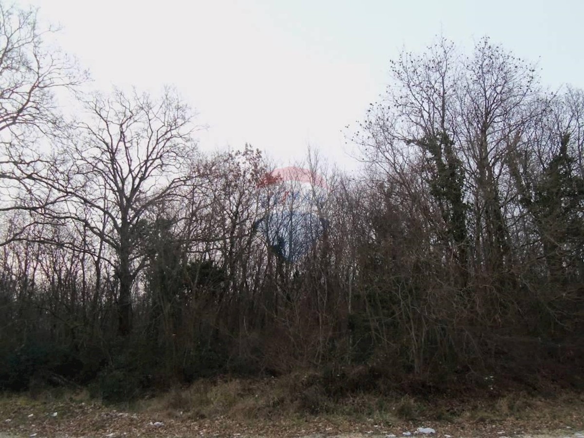 VIŠNJAN