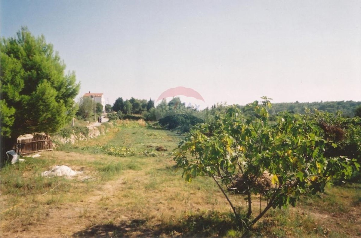 PREMANTURA