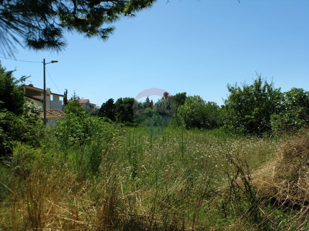 PREMANTURA