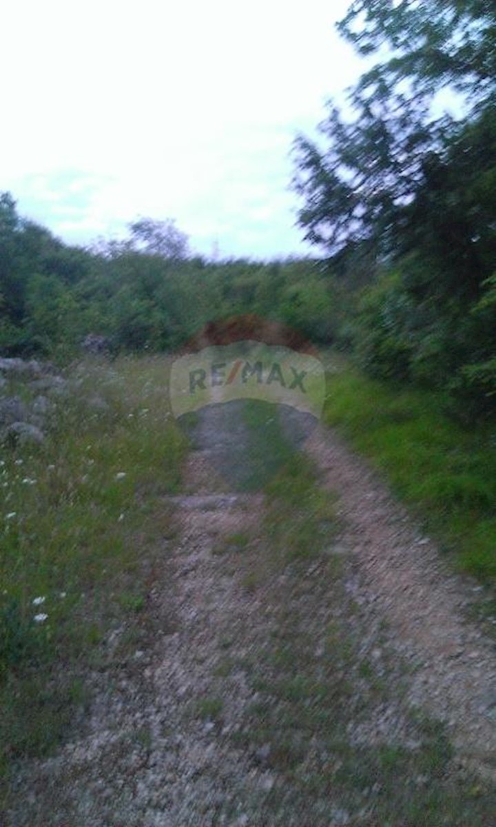 KRK