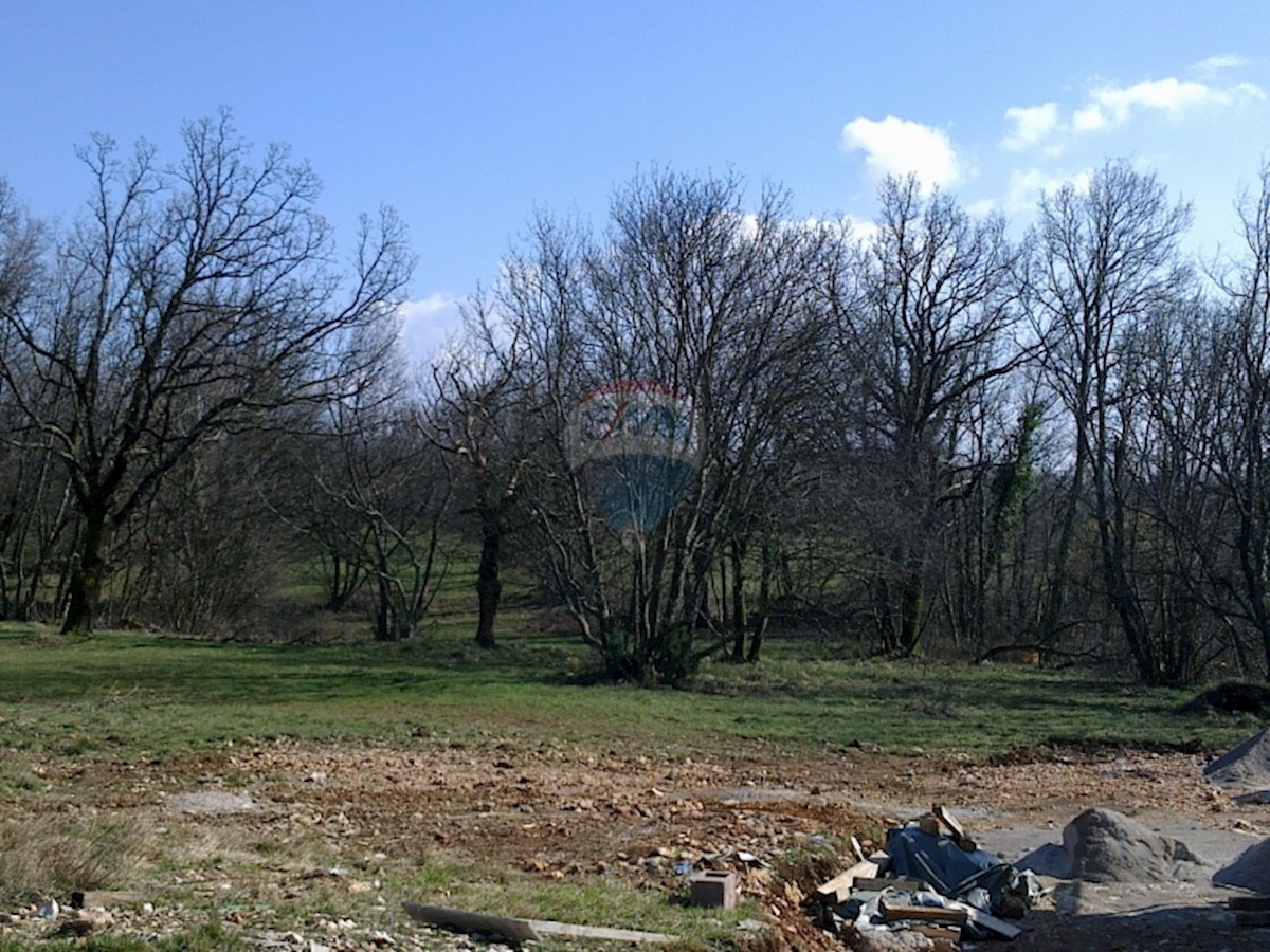 MAVRINCI