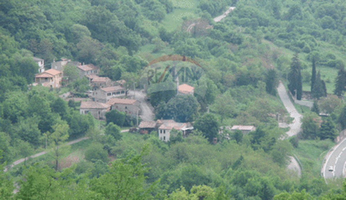 LUPOGLAV