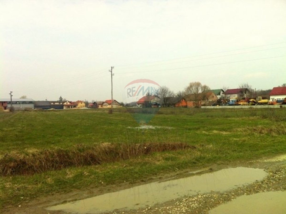 LUPOGLAV