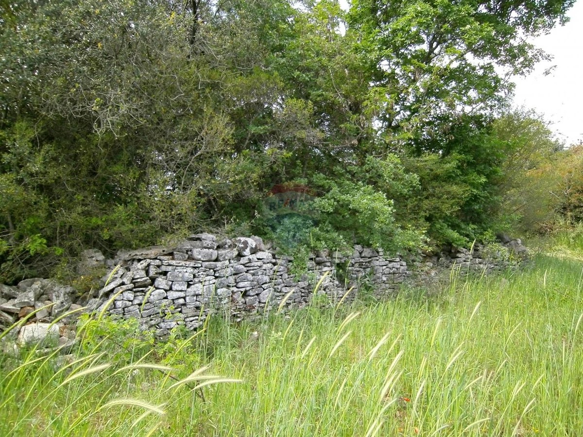 FAŽANA