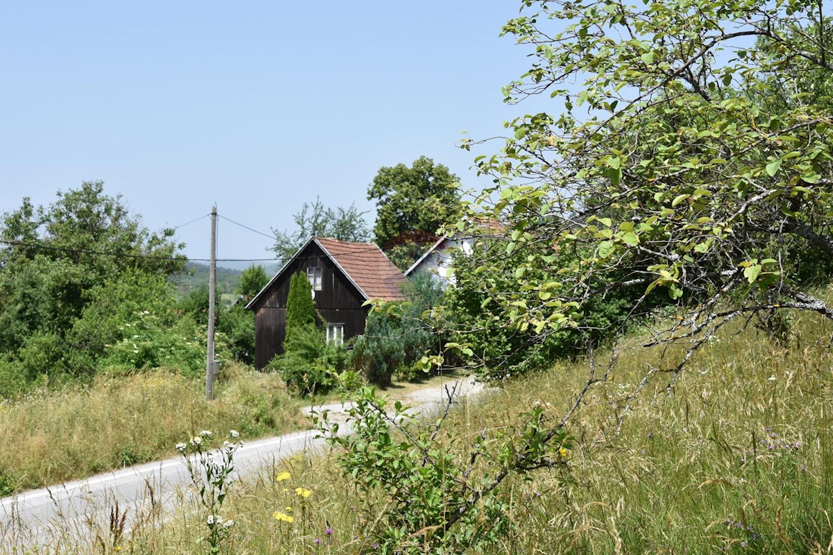 DOKMANOVIĆI