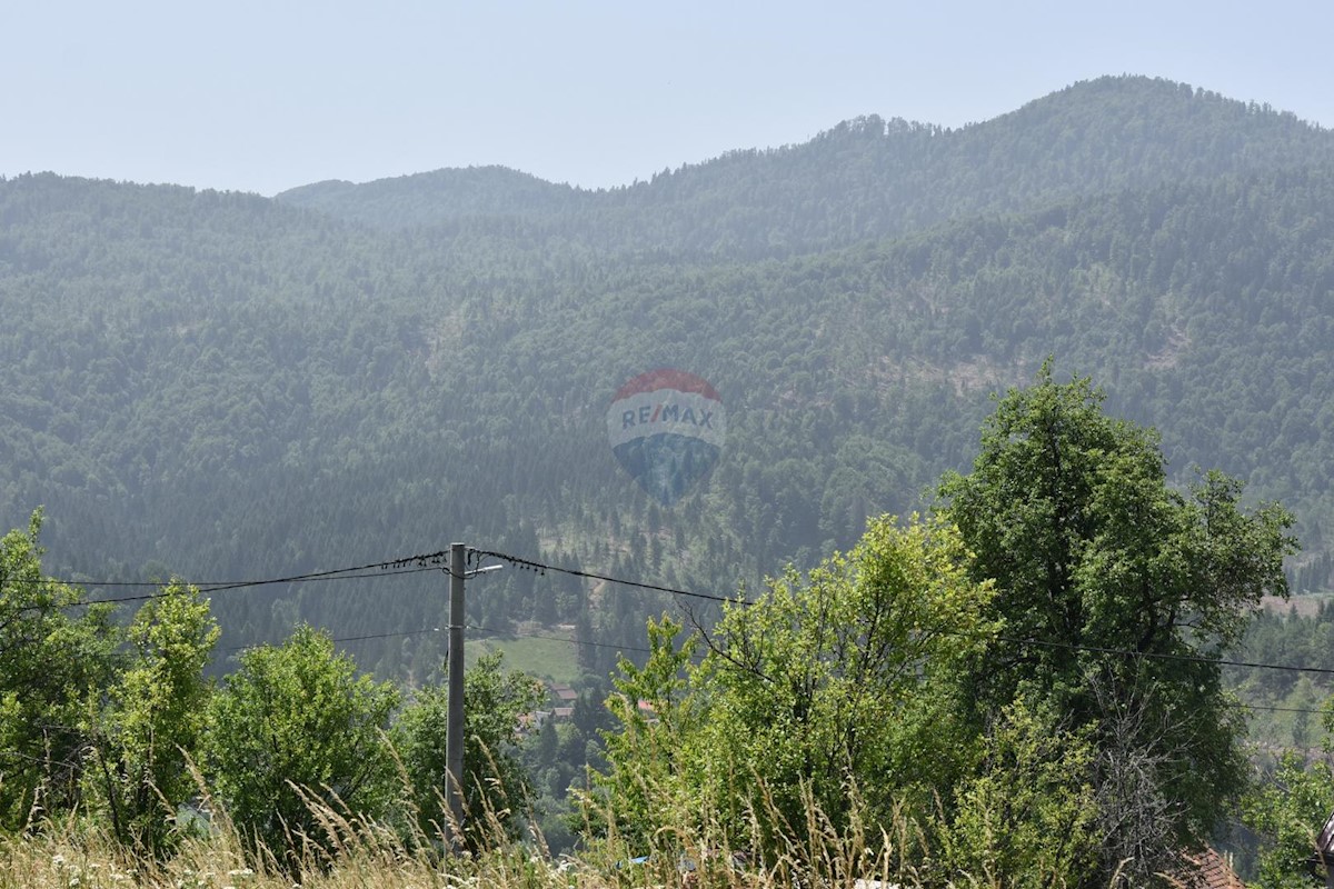 DOKMANOVIĆI