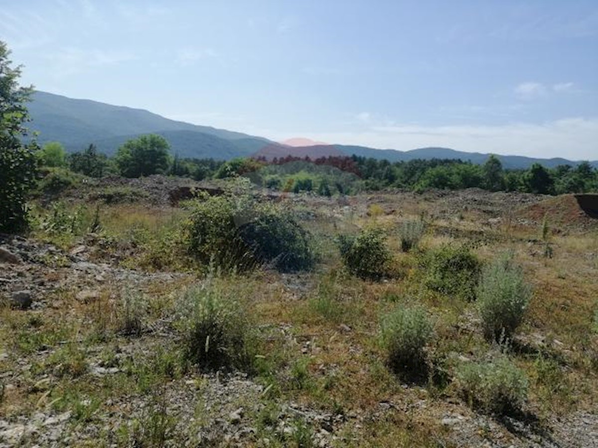 JURDANI