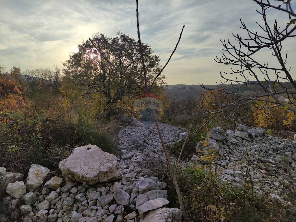 VRBNIK