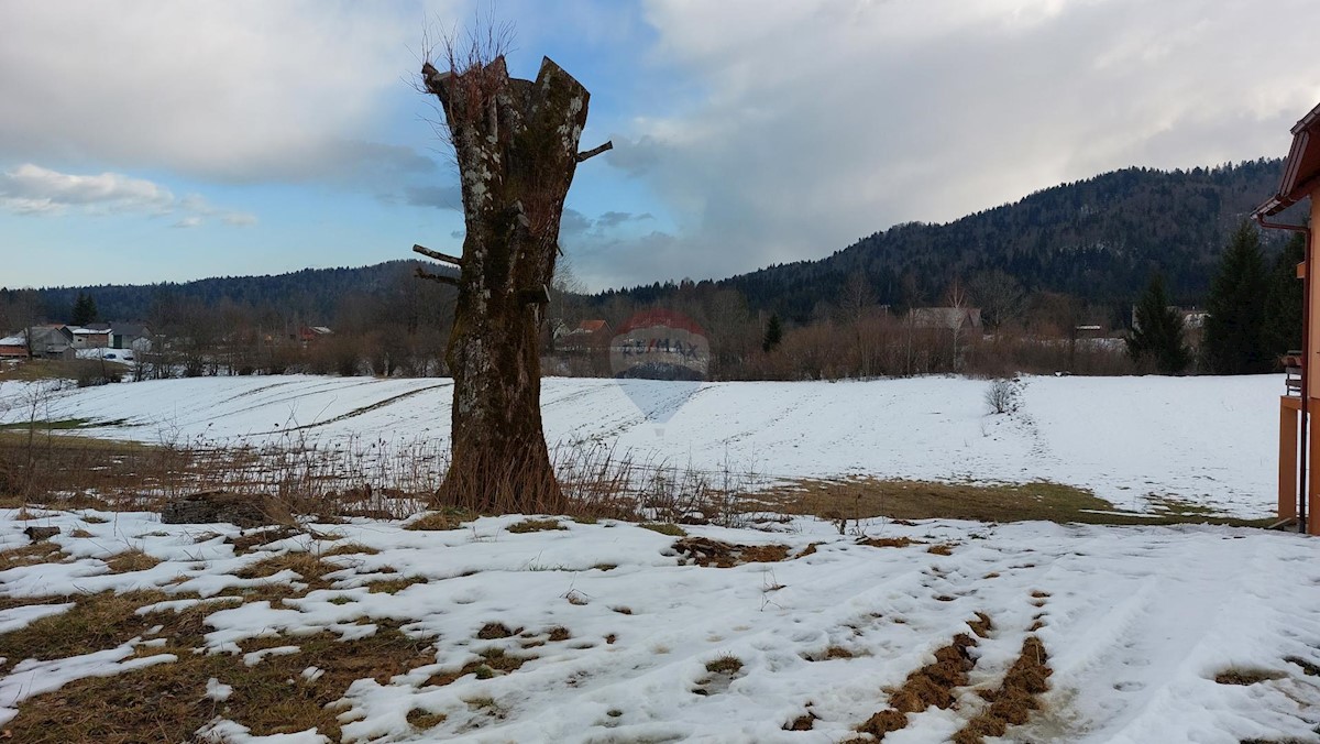 JASENAK