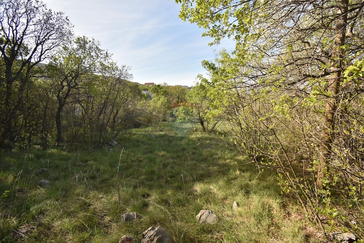 KLENOVICA