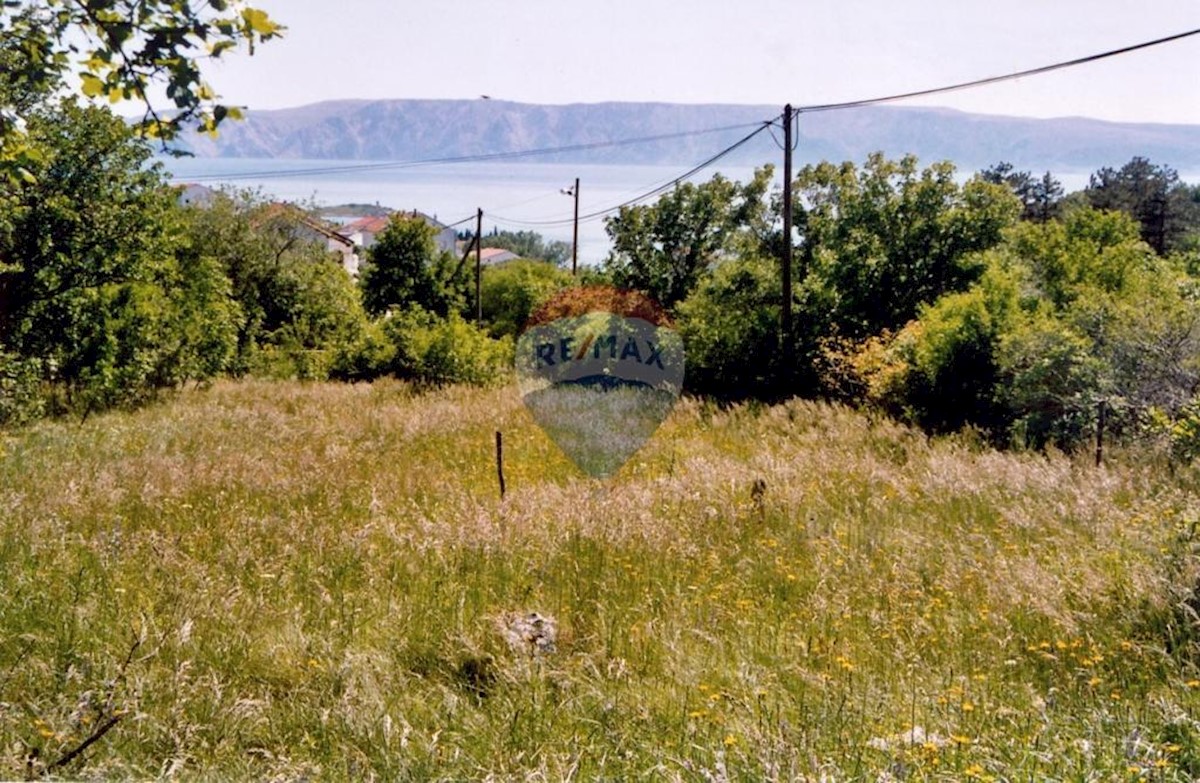 KLENOVICA