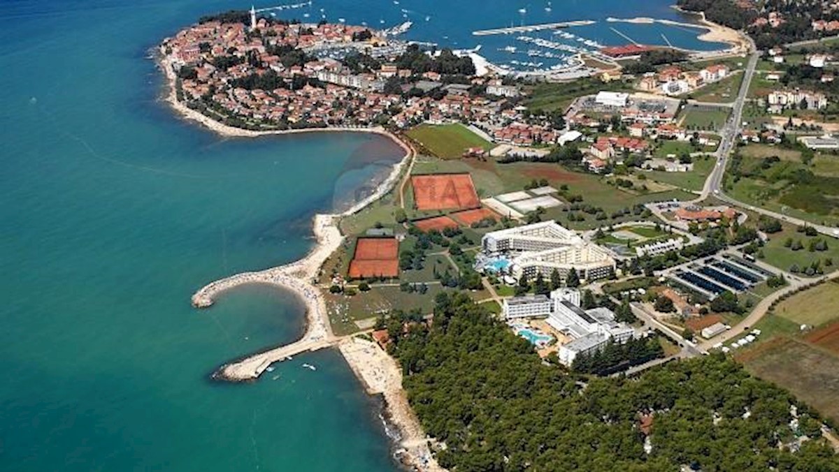 NOVIGRAD