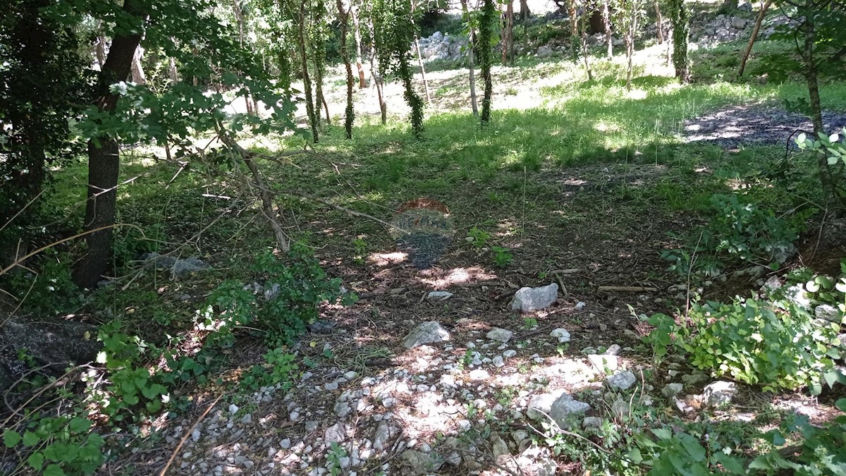 GRIŽANE