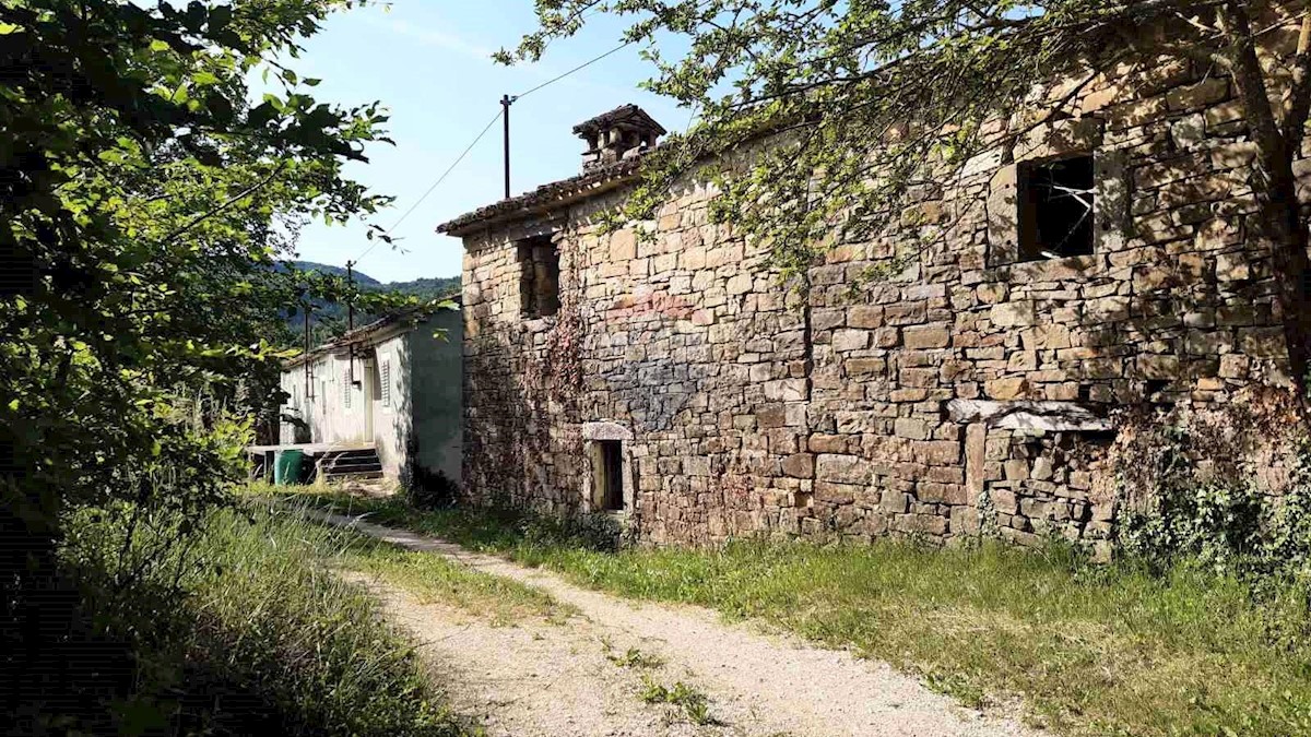 DRAGUĆ