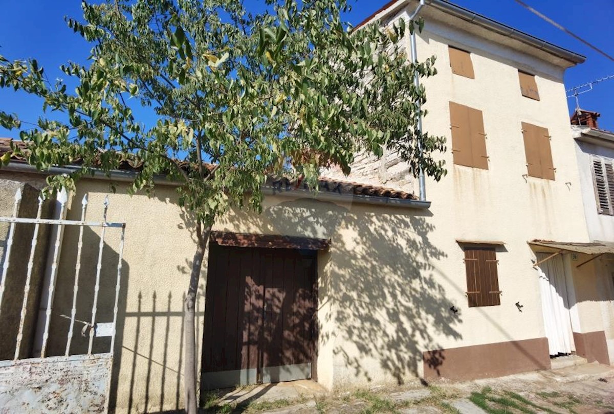 GALIŽANA