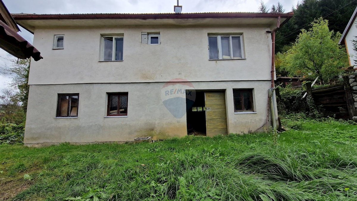 MORAVICE