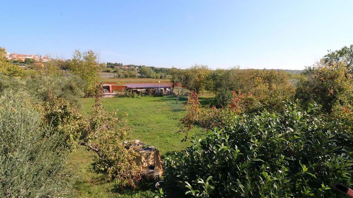 BRTONIGLA