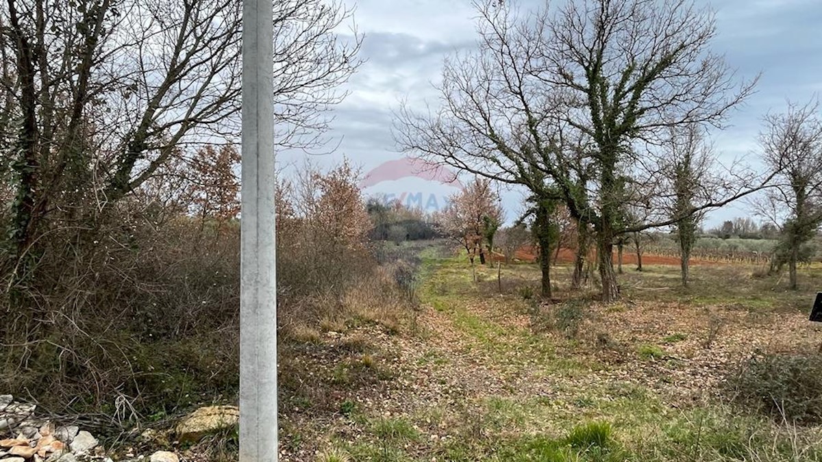 VABRIGA