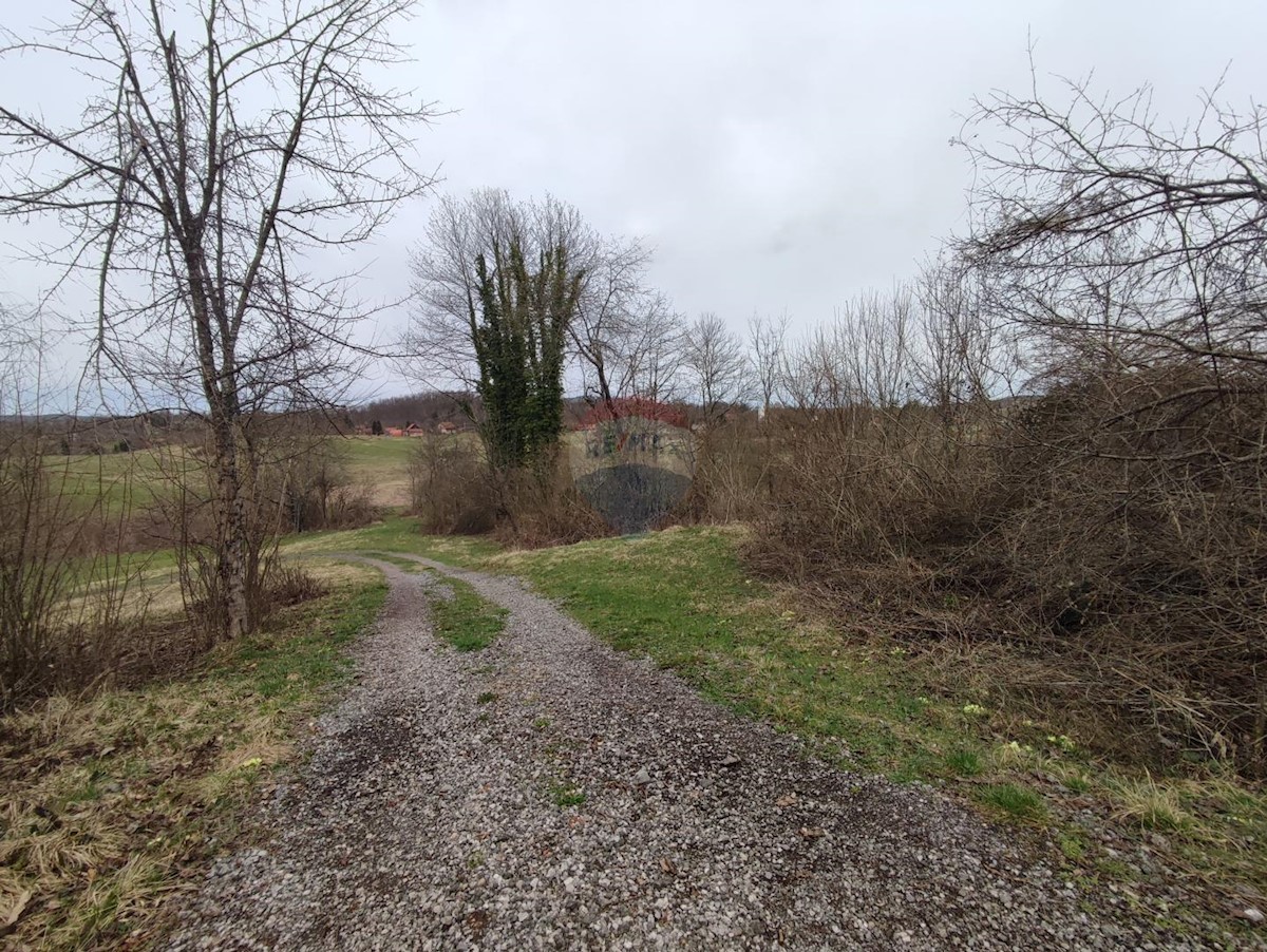 OGULIN