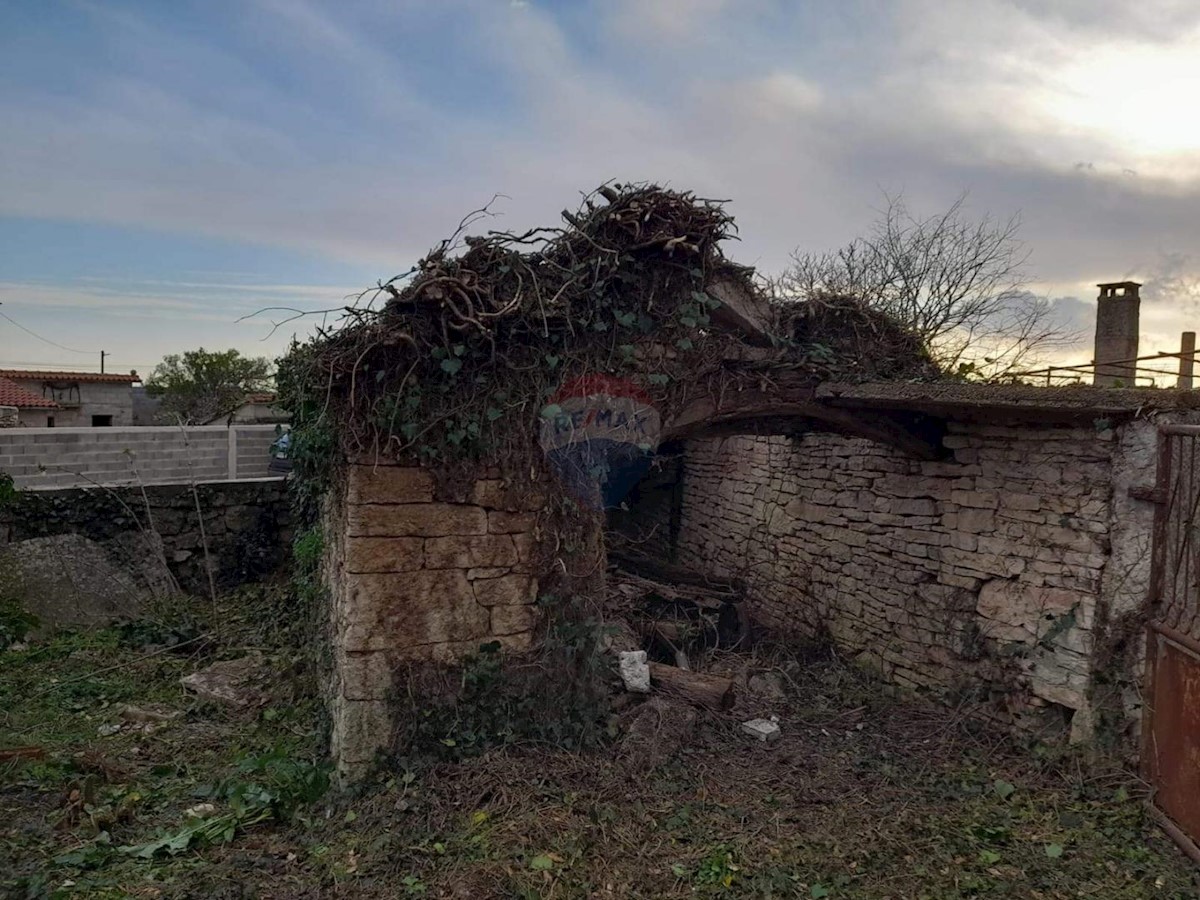 ŽMINJ