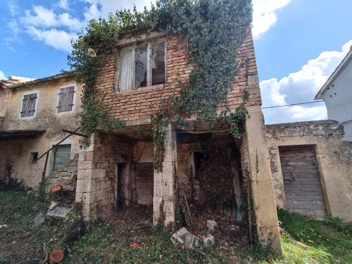 ŽMINJ