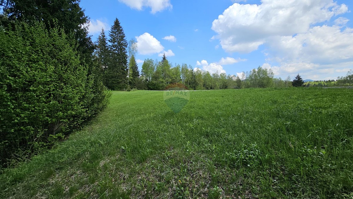 HLEVCI
