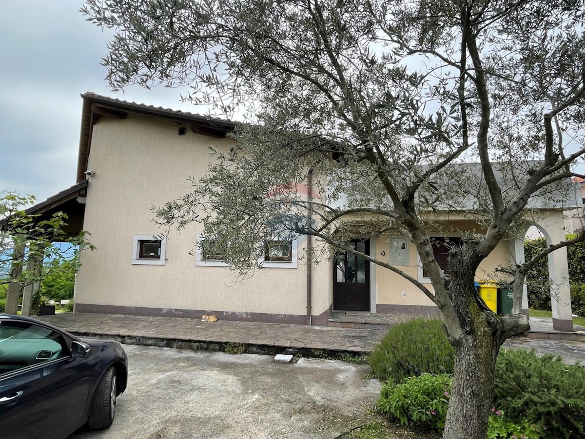 MARČELJI