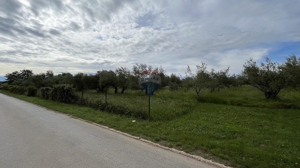 VABRIGA