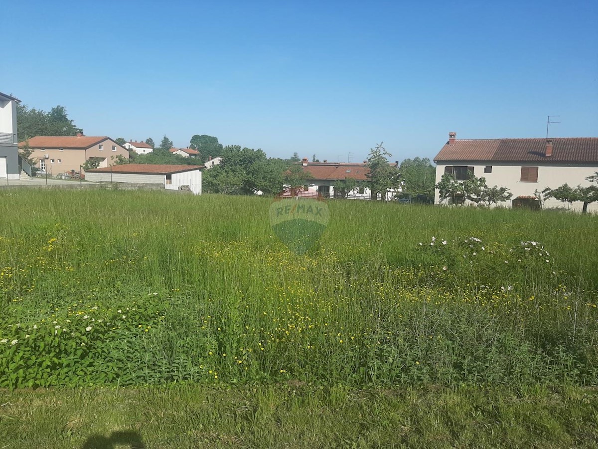 PAZIN