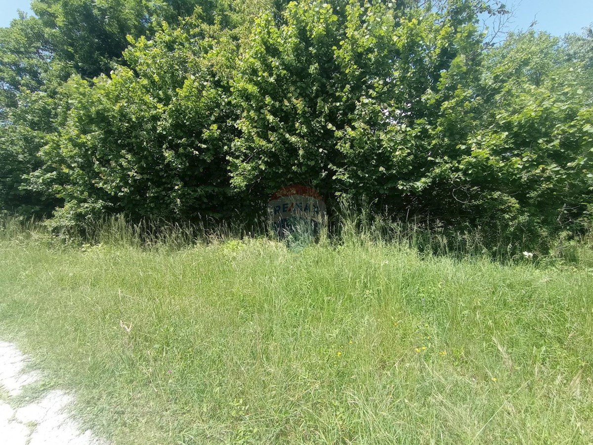 LUKOVDOL