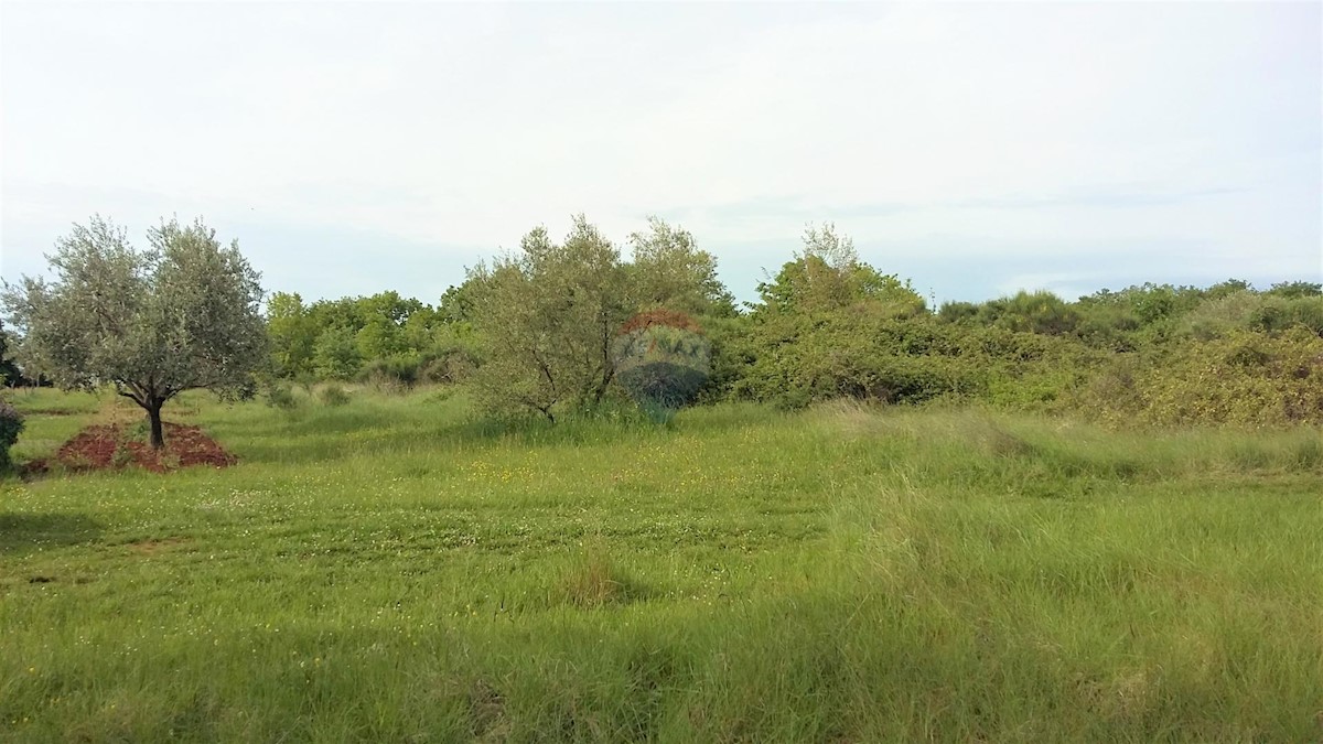 LOVREČICA