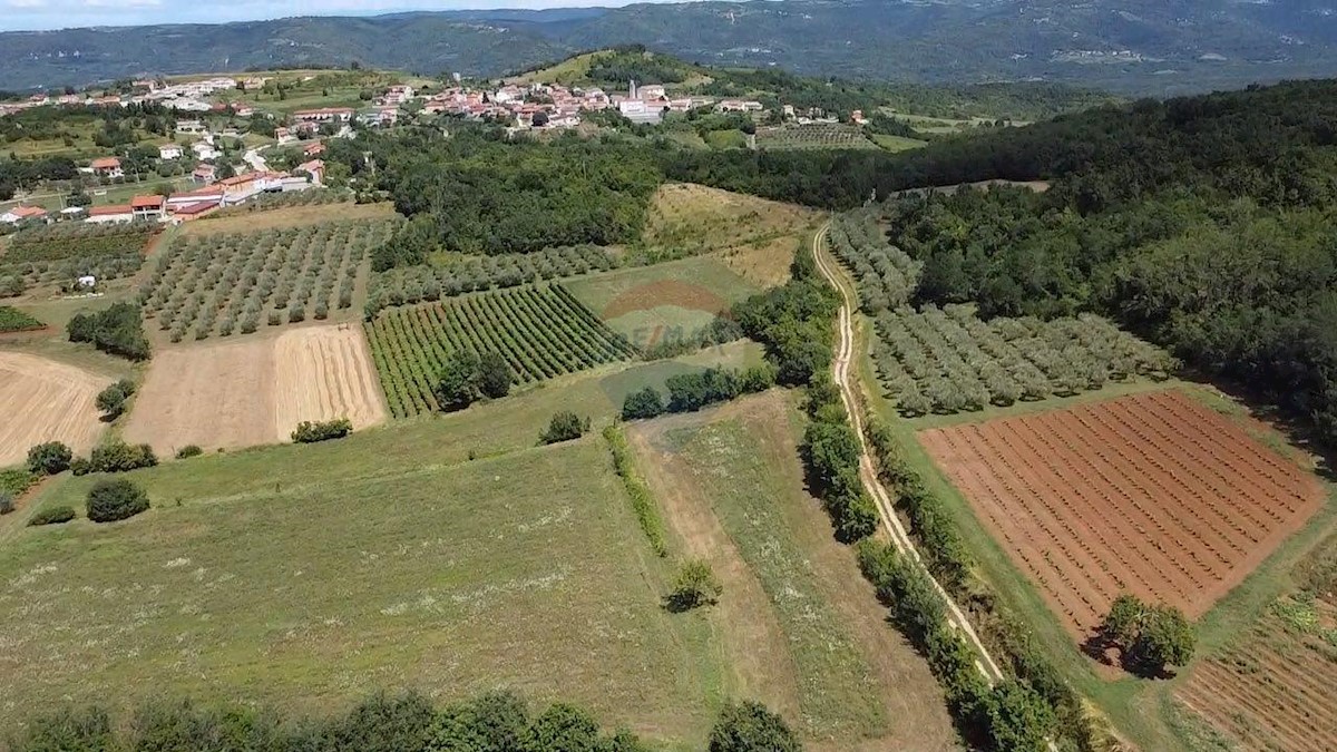 VIŽINADA