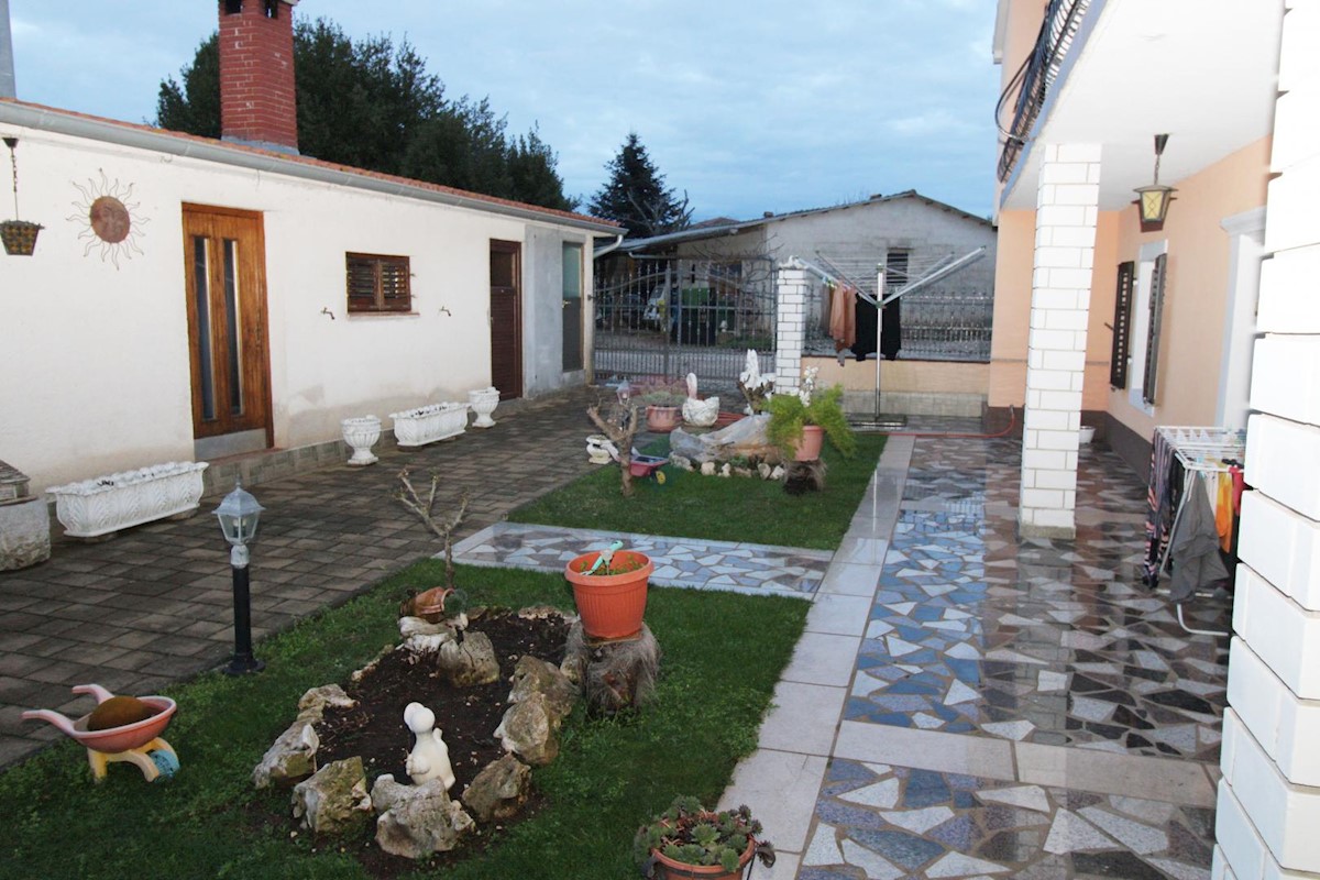 ROGOVIĆI