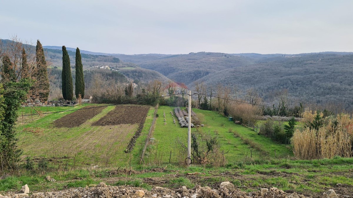 MOTOVUN