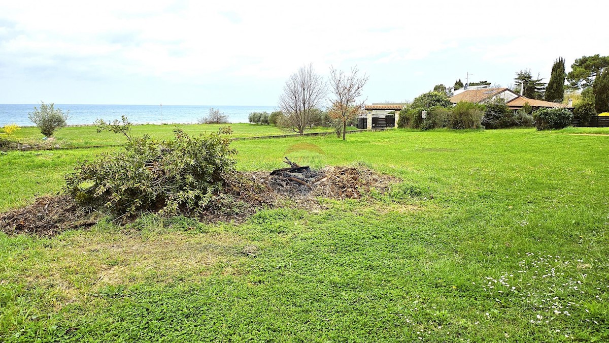 UMAG