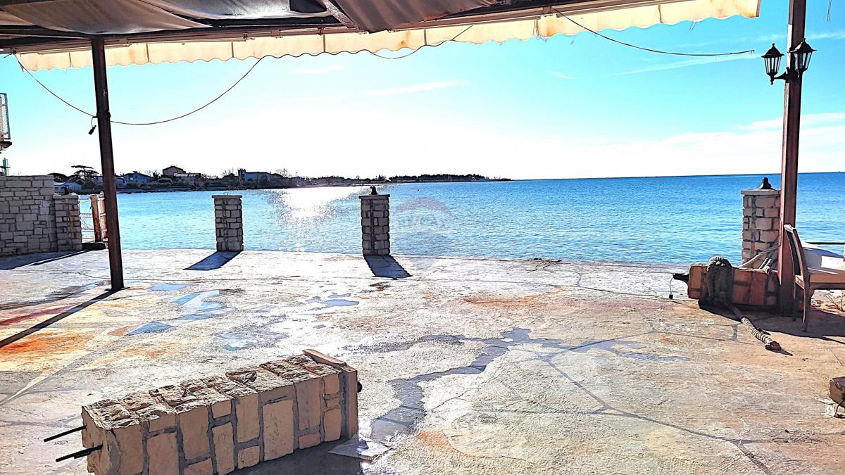 UMAG