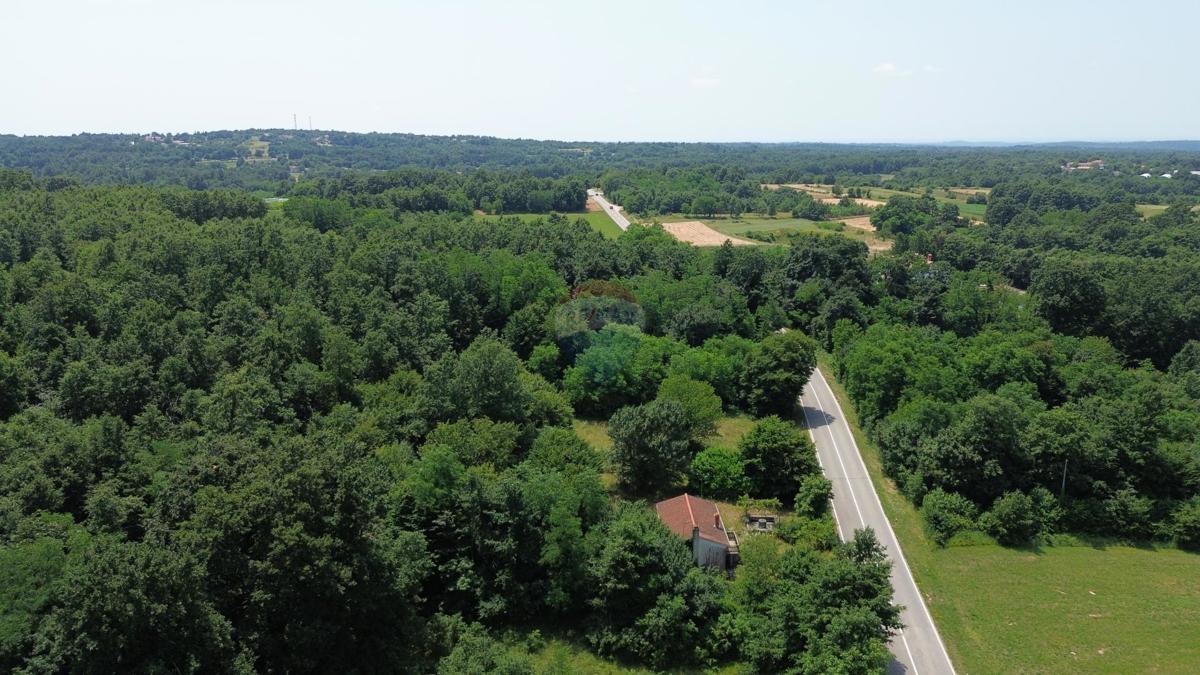 ŽMINJ