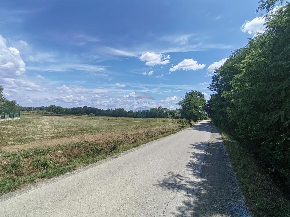 PROZORJE