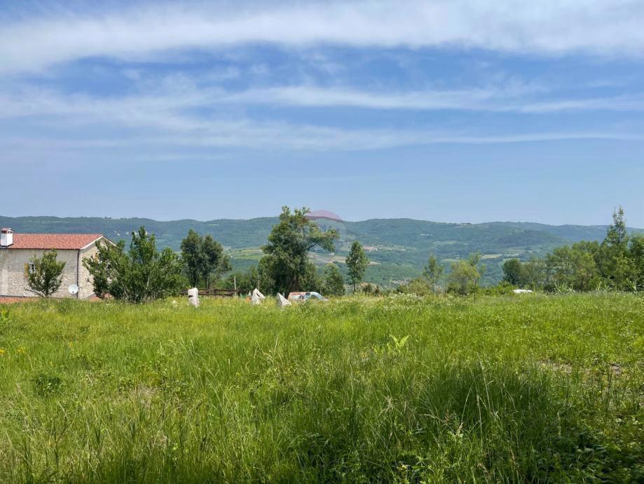 VIŽINADA