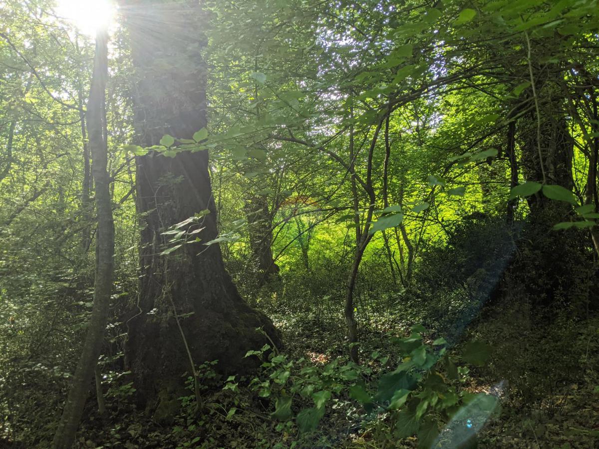 ROVINJSKO SELO