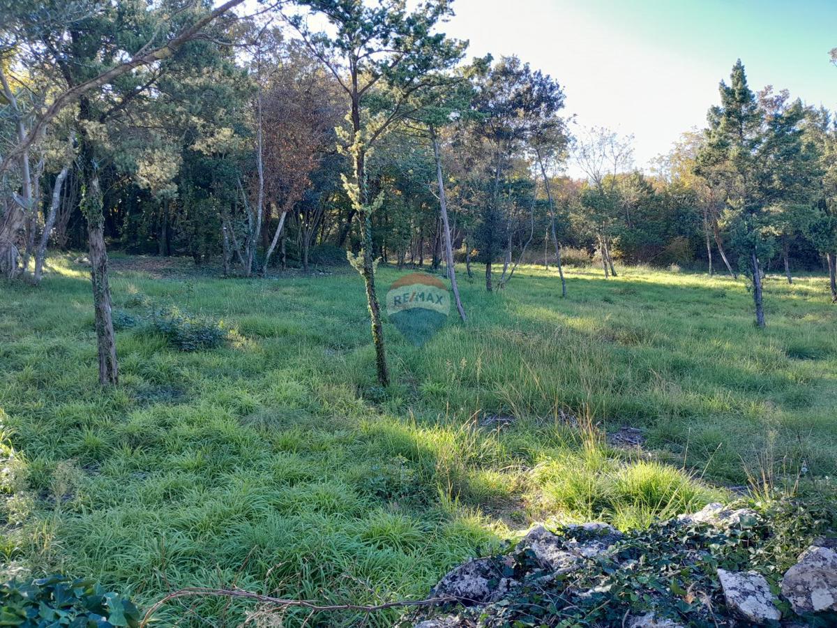 Terreno MARČANA, 165.000 €