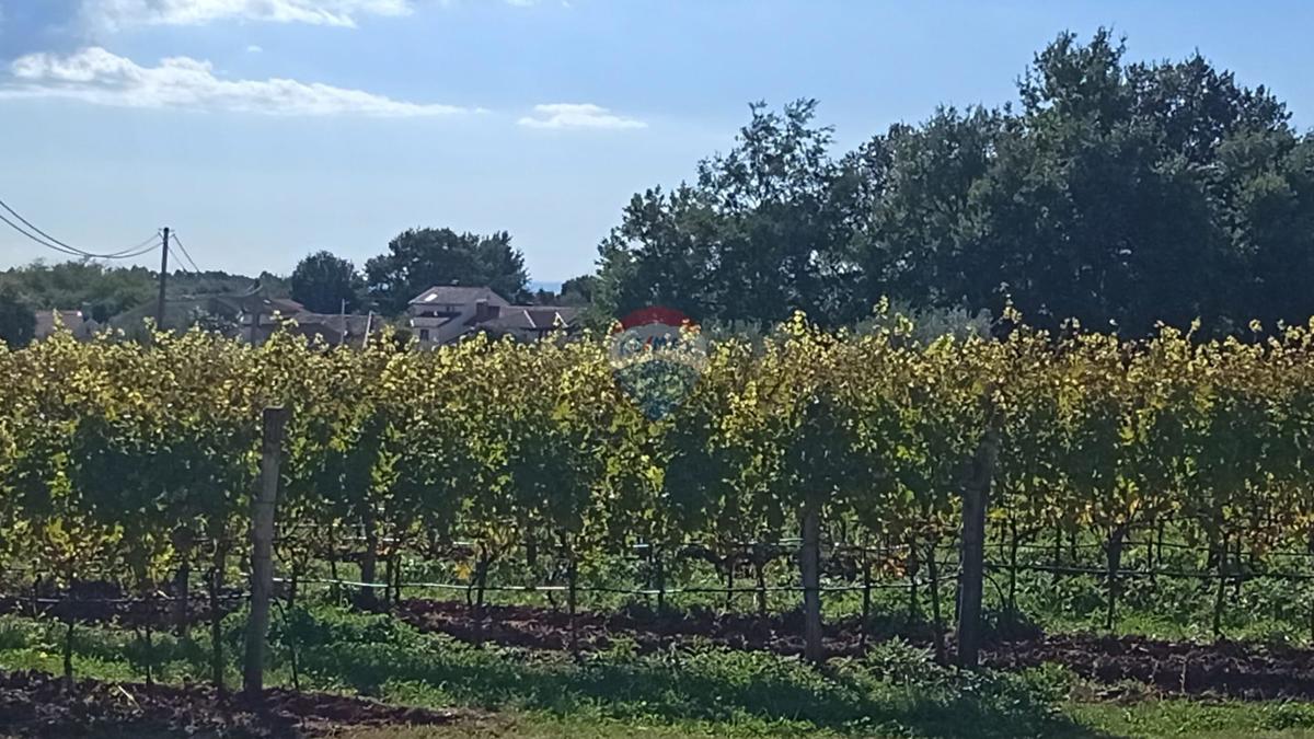 Участок VIŽINADA, 130.000 €