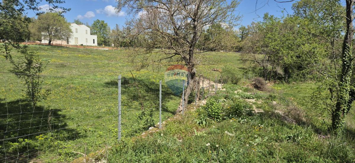 Участок ŽMINJ, 80.000 €