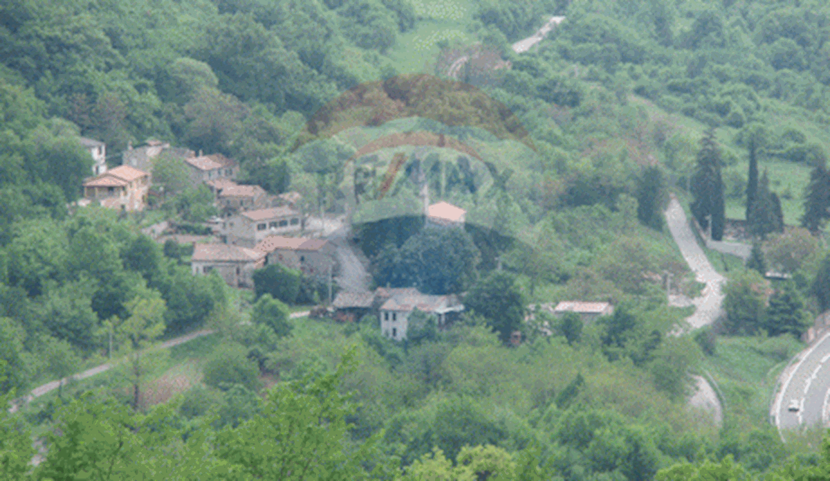 LUPOGLAV