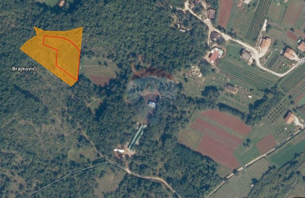 TRVIŽ