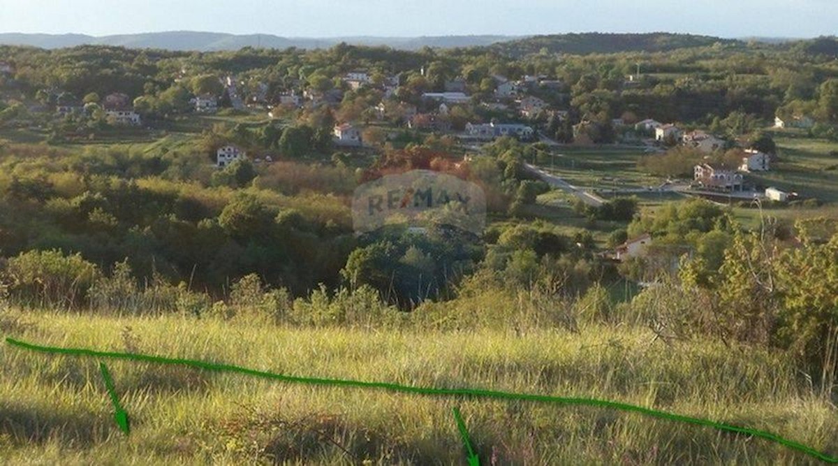 TRVIŽ