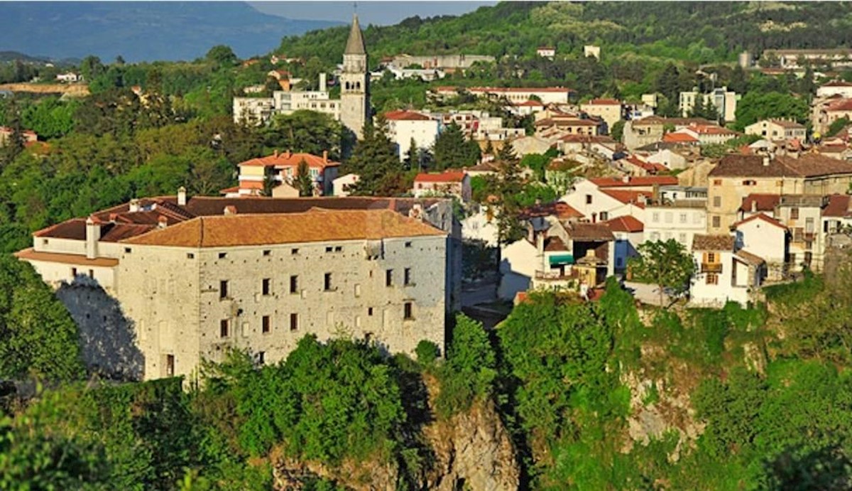PAZIN
