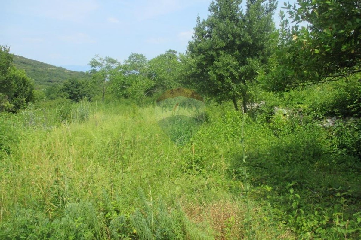 BRSEČ