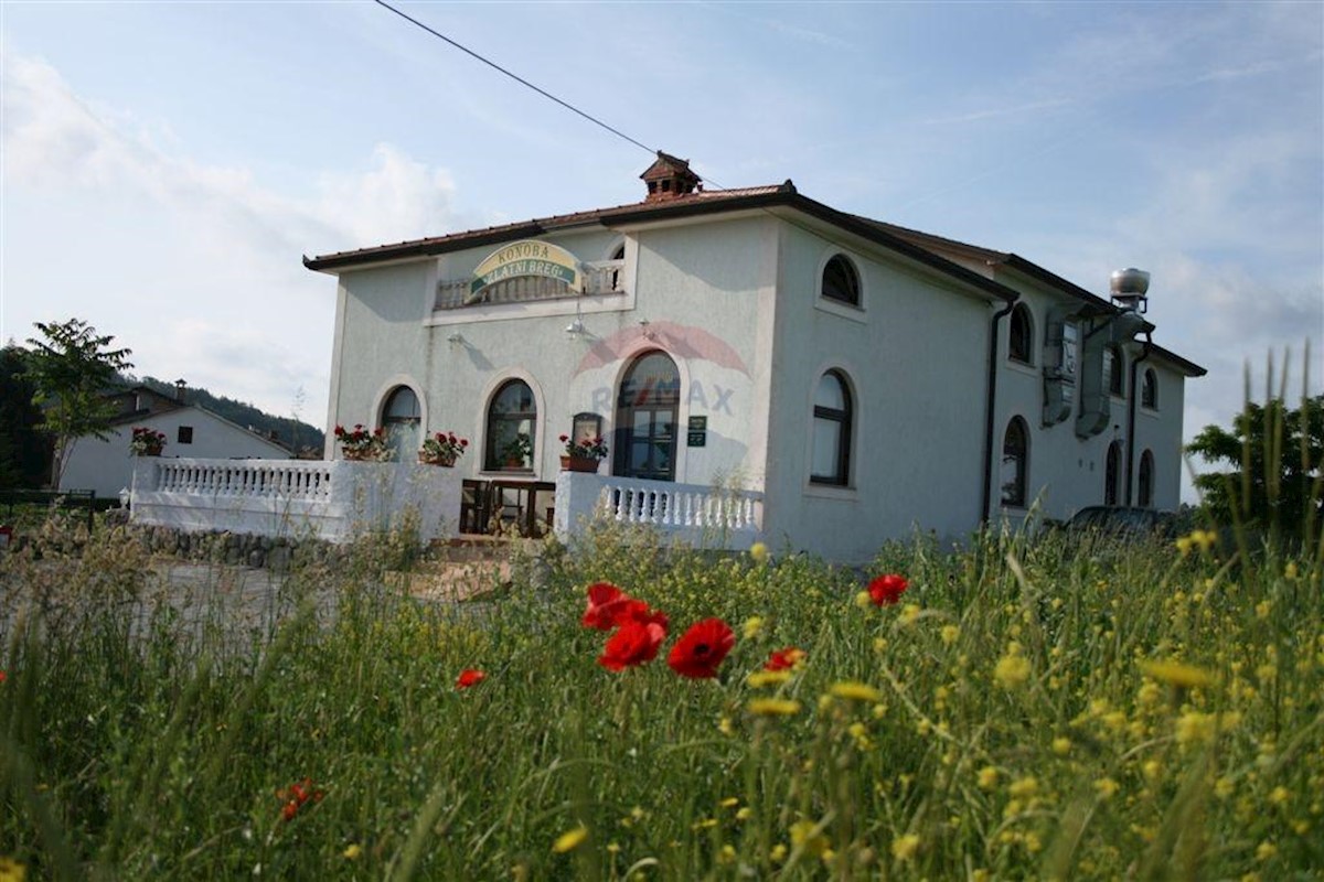 BUZET